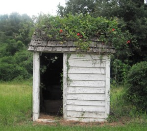 This outhouse at Purdue Hill, Alabama, is similar to the girls' outhouse at Barnum Hill School.