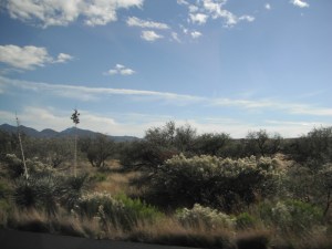 on-the-way-south-026